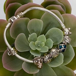 Pandora .925 Complete Whole Bracelet Charms Chain